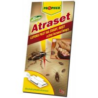 Atraset lepová past na šváby